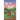Not so Bad: A small-town coming-home story