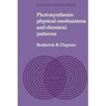 Photosynthesis: Physical Mechanisms and Chemical Patterns