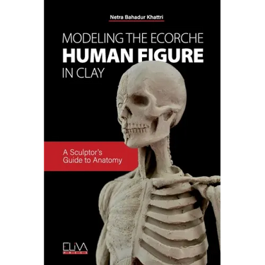 Modeling the Ecorche Human Figure in Clay: A Sculptor's Guide to Anatomy
