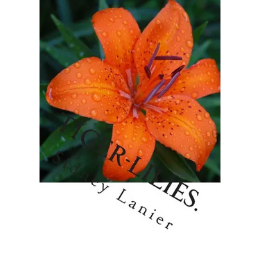 Tiger-Lilies.: A Novel.