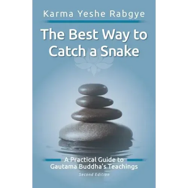 The Best Way to Catch a Snake: A Practical Guide To Gautama Buddha's Teachings
