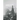 Among Ruins