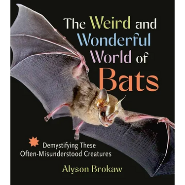 The Weird and Wonderful World of Bats: Demystifying These Often-Misunderstood Creatures