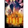 His Vampire Harem Book Two: Harem Paranormal Romance (Gay)
