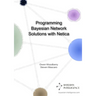 Programming Bayesian Network Solutions with Netica