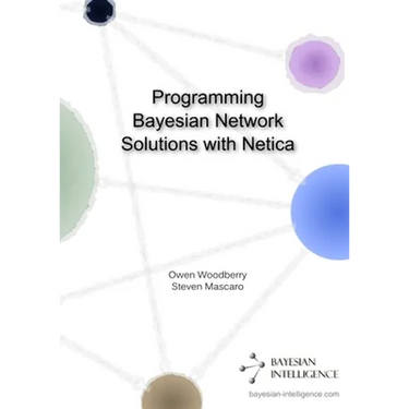 Programming Bayesian Network Solutions with Netica