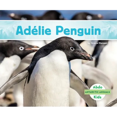 Adelie Penguin