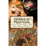 Hidden in Plain View: Recognizing the Obvious-Exploiting the Obscure in Fly Fishing
