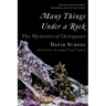 Many Things Under a Rock: The Mysteries of Octopuses