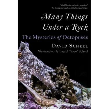 Many Things Under a Rock: The Mysteries of Octopuses