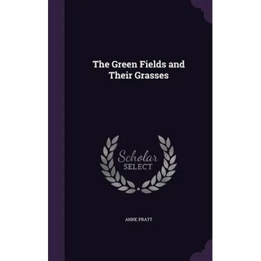 The Green Fields and Their Grasses