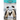 Penguins
