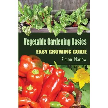 Vegetable Gardening Basics: Easy Growing Guide