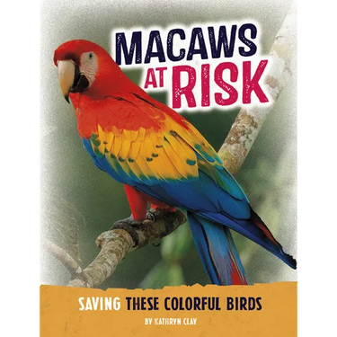 Macaws at Risk: Saving These Colorful Birds