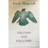 Falcons and Falconry