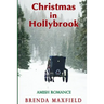 Christmas in Hollybrook: Amish Romance