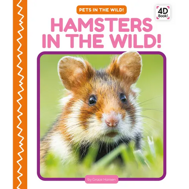 Hamsters in the Wild!