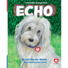 Echo