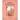 Srimad Bhagavatam: A Comprehensive Guide for Young Readers: Canto 2