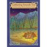 Gathering Sounds Too: Field Recording with the Rainbow Family