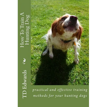 How To Train A Hunting Dog
