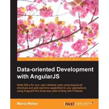 Data-oriented Development with Angularjs