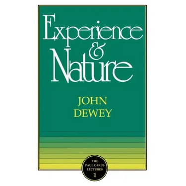 The Experience and Nature