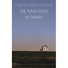 The Plain Sense of Things