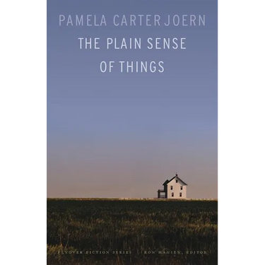 The Plain Sense of Things