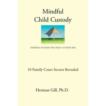 Mindful Child Custody: Thinking Outside the Child Custody Box 10 Family Court Secrets Revealed