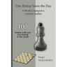 One Bishop Saves the Day: A World Champion's Favorite Studies