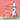 The Rocket Ship: A fun introduction to self reliance
