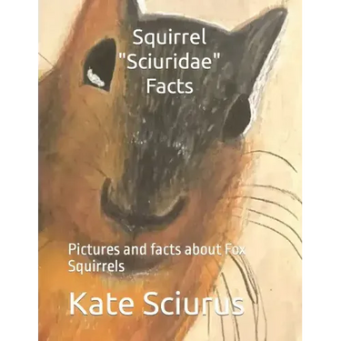 Squirrel Sciuridae Facts: Pictures and facts about Fox Squirrels
