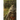 The Long Road Home