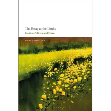The Essay At the Limits: Poetics, Politics and Form
