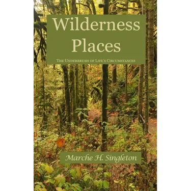 Wilderness Places: The Underbrush of Life's Journey
