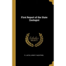 First Report of the State Zoologist