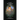 A Most Mysterious Fossil