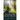 Sharing the Holy Light