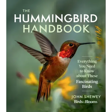 The Hummingbird Handbook: Everything You Need to Know about These Fascinating Birds