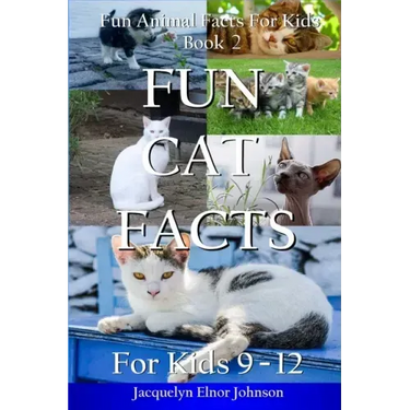 Fun Cat Facts for Kids 9-12