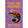 Fain the Sorcerer