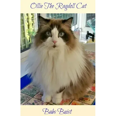 Ollie The Ragdoll Cat: A Book for Cat Lovers of All Ages