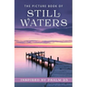 The Picture Book of Still Waters: A Gift Book for Alzheimer's Patients and Seniors with Dementia