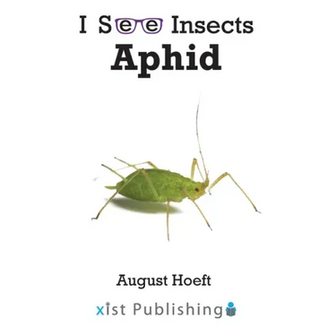 Aphid