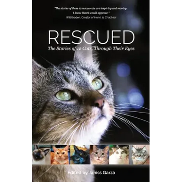 Rescued: The Stories of 12 Cats, Through Their Eyes
