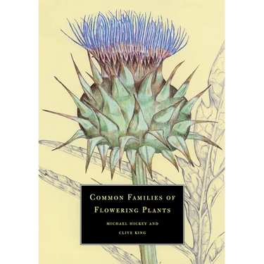 Common Families of Flowering Plants