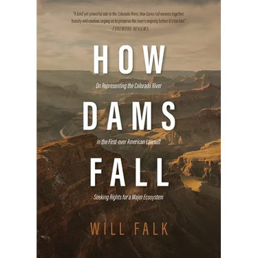 How Dams Fall