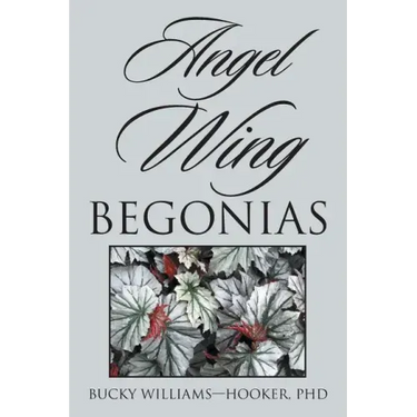 Angel Wing Begonias