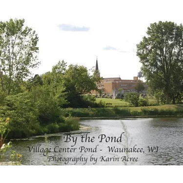 By the Pond